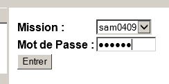 Capture d'écran du formulaire dont il est question.